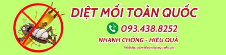 Diệt Mối Tận Gốc Toàn Quốc