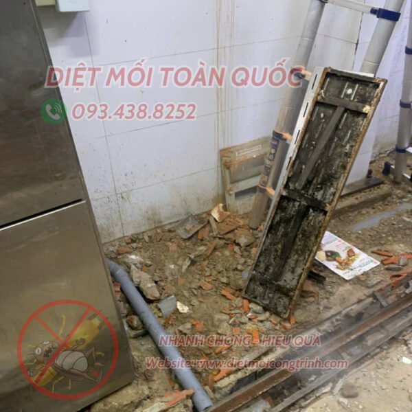 PHÒNG DIỆT MỐI NỀN MÓNG CÔNG TRÌNH TẠI ĐỒNG NAI - Hình ảnh 2