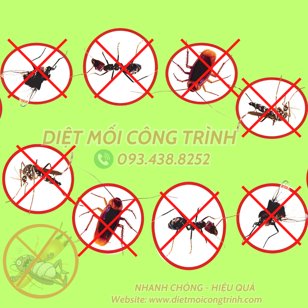 DIỆT CÔN TRÙNG TẠI QUẬN 3 - XỊT CÔN TRÙNG HIỆU QUẢ Các loại côn trùng Diệt Mối Công Trình nhận diệt tại HCM