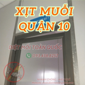 XỊT MUỖI QUẬN 10 - PHUN THUỐC DIỆT MUỖI TẬN NƠI