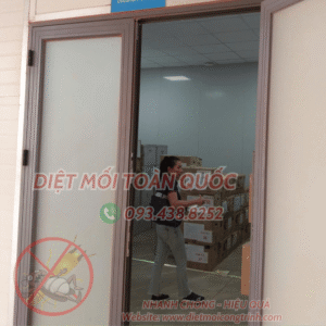 XỊT MUỖI QUẬN 9 - DIỆT MUỖI TẬN NƠI GIÁ RẺ