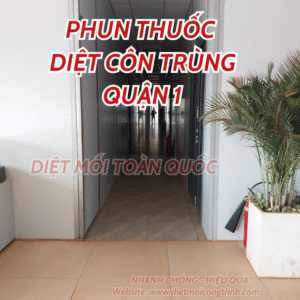 Phun thuốc diệt côn trùng tại chung cư Quận 1 do Diệt Mối Công TRình cung cấp