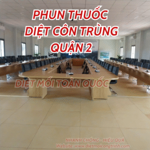Diệt Mối Công Trình cung cấp Dịch vụ phun thuôc diệt côn trùng Quận 2