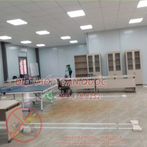 Dịch vụ phun diệt muỗi tại Quận 2 nhanh chóng hiệu quả