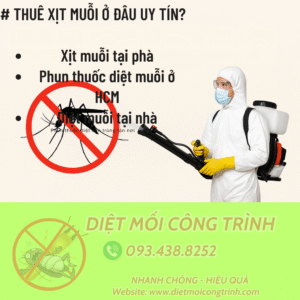 Thuê xịt muỗi ở đâu uy tín? Liên hệ ngay với Diệt Mối Công Trình địa chỉ xịt muỗi uy tín tại HCM