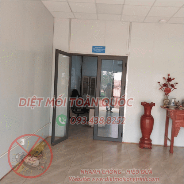 Dịch vụ xịt muỗi kiến gián tại nhà khu vực quận 5 do Diệt Mối Côg Trình cung cấp