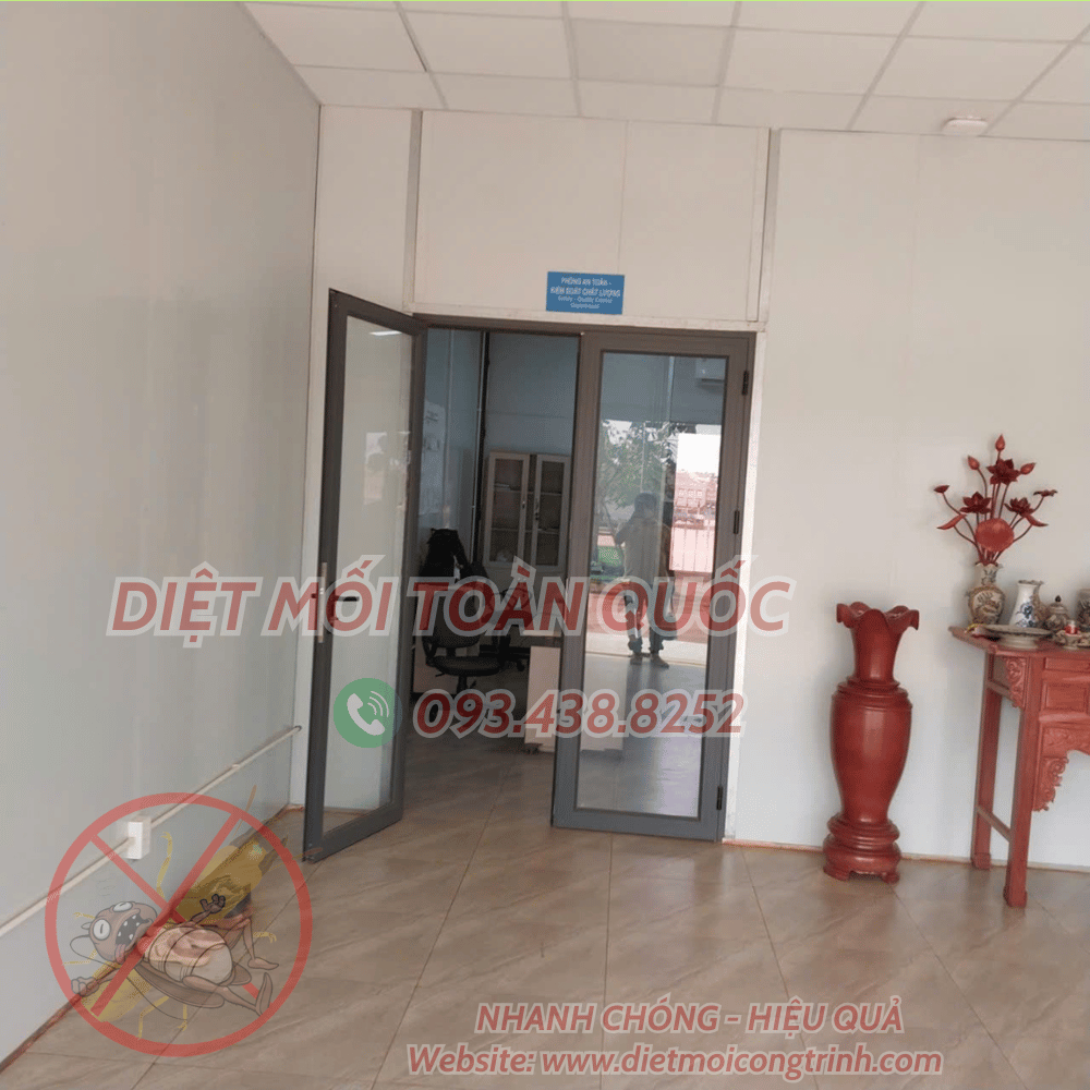 Dịch vụ xịt muỗi kiến gián tại nhà khu vực quận 5 do Diệt Mối Côg Trình cung cấp