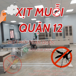 Xịt muỗi Quận 12, dịc vụ phun xịt muỗi tận nơi của Diệt Mối Công Trình