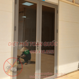 Thuê xịt muỗi tại nhà Quận 6 , Diệt Mối Công Trình nơi cung cấp dịch vụ diệt côn trùng chuyên nghiệp