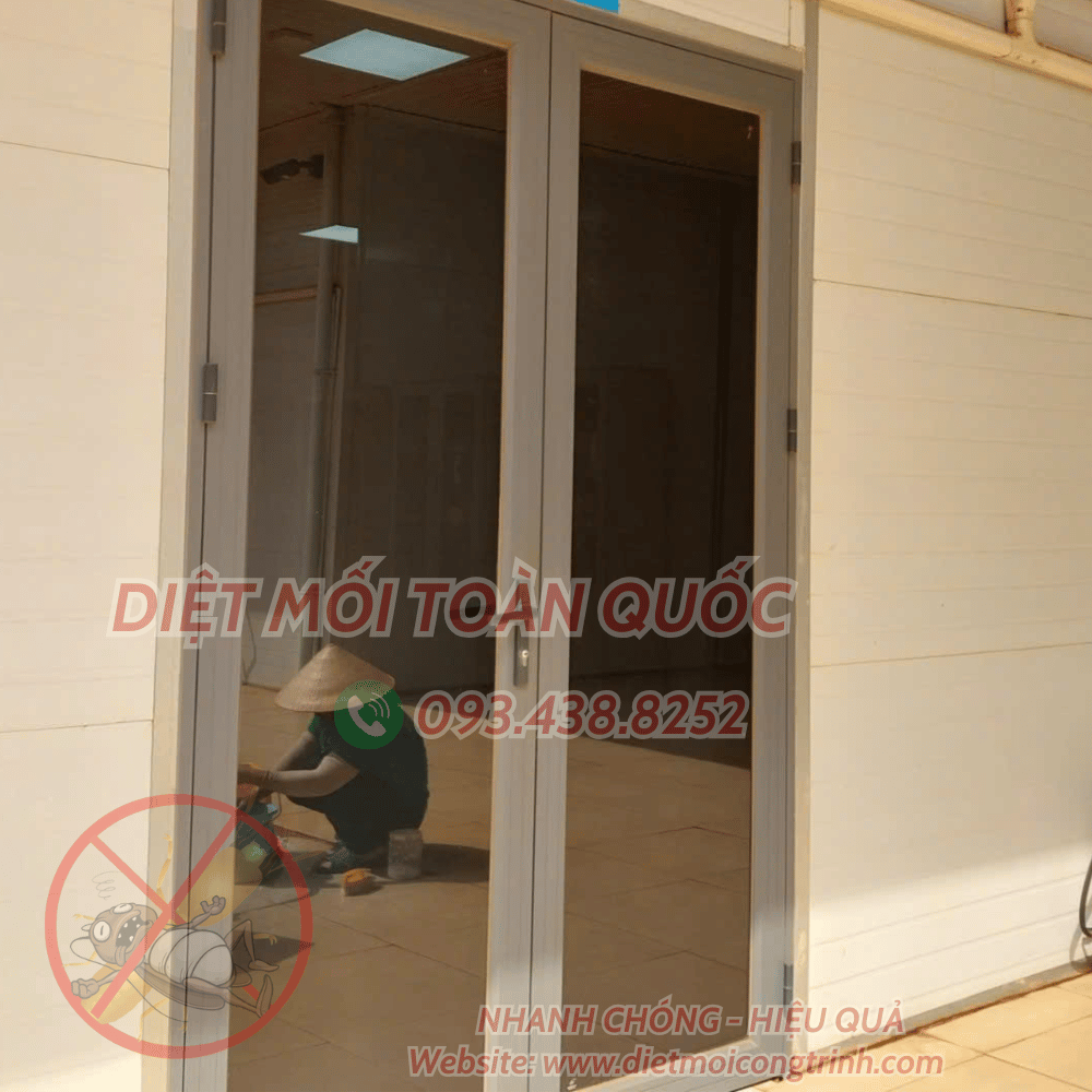 Thuê xịt muỗi tại nhà Quận 6 , Diệt Mối Công Trình nơi cung cấp dịch vụ diệt côn trùng chuyên nghiệp
