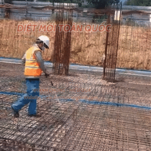 xịt mối cho công trình chuyên nghiệp đi đôi với an toàn và hiệu quả