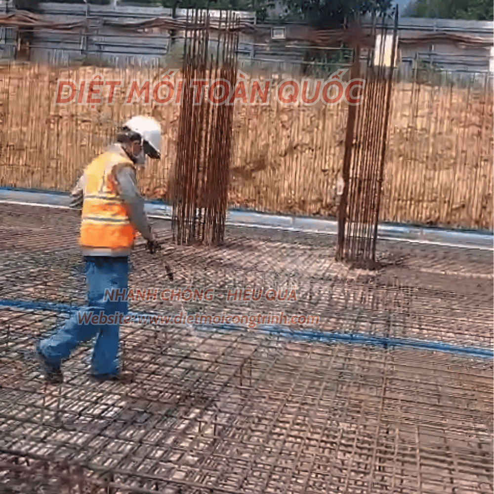 Xịt Mối Cho Công Trình Chuyên Nghiệp – An Toàn, Hiệu Quả Tận Gốc xịt mối cho công trình chuyên nghiệp đi đôi với an toàn và hiệu quả